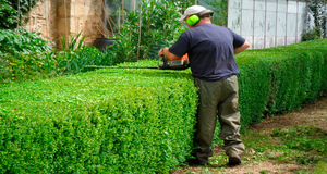 servico-de-jardinagem-e-paisagismo